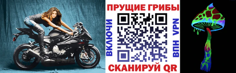 kraken как зайти  что такое   Вятские Поляны  Галлюциногенные грибы мухоморы 