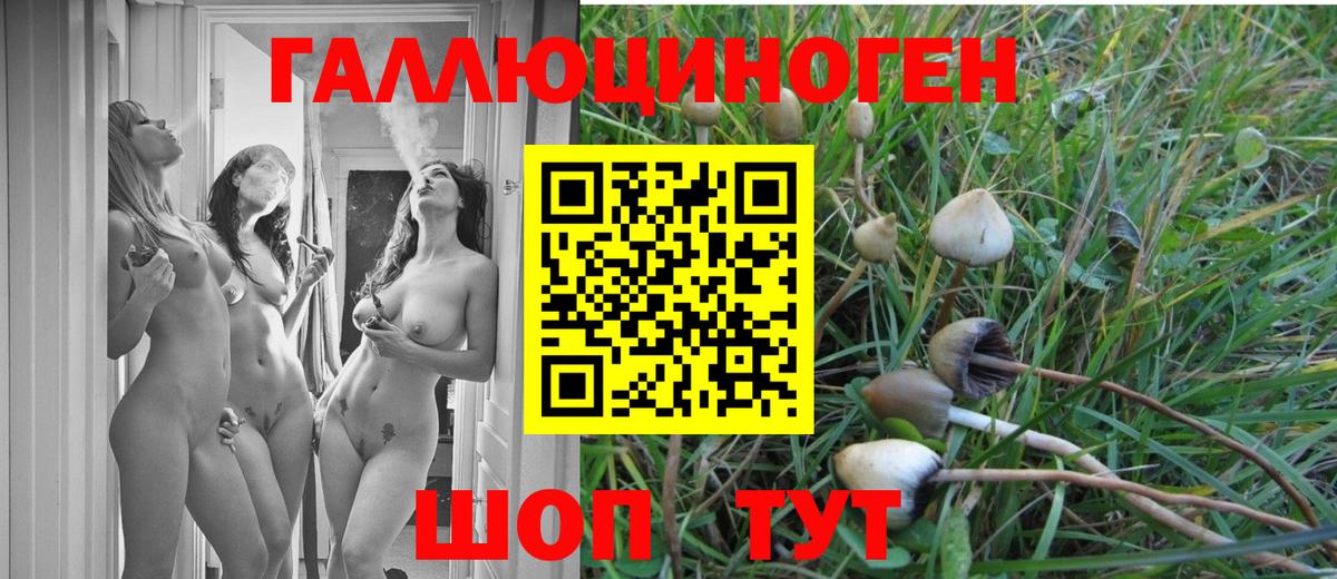 Галлюциногенные грибы Cubensis Вятские Поляны