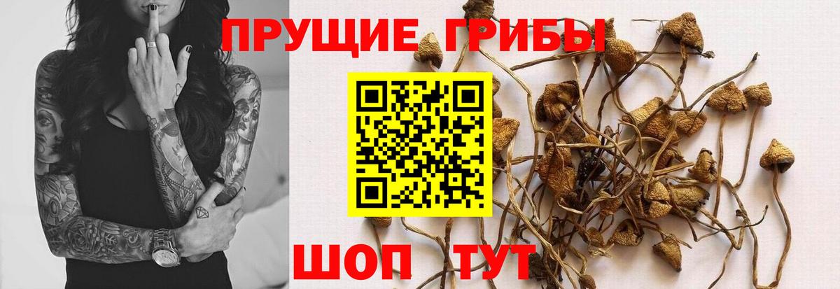 Галлюциногенные грибы GOLDEN TEACHER  Вятские Поляны 